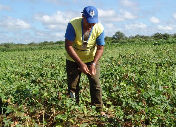 Agricultura - Agricultores