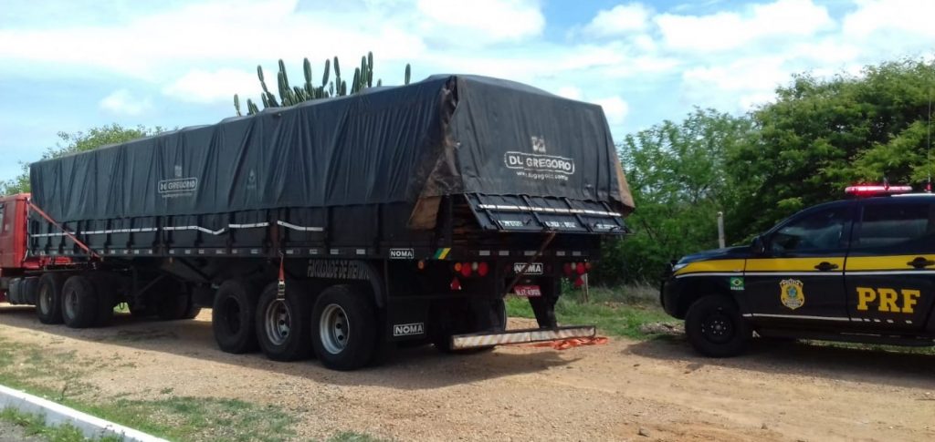 O motorista apresentou documentação de transporte florestal falsificada.