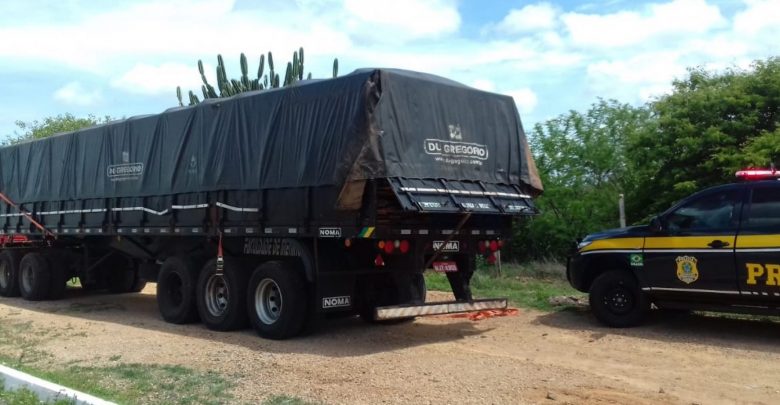 O motorista apresentou documentação de transporte florestal falsificada.