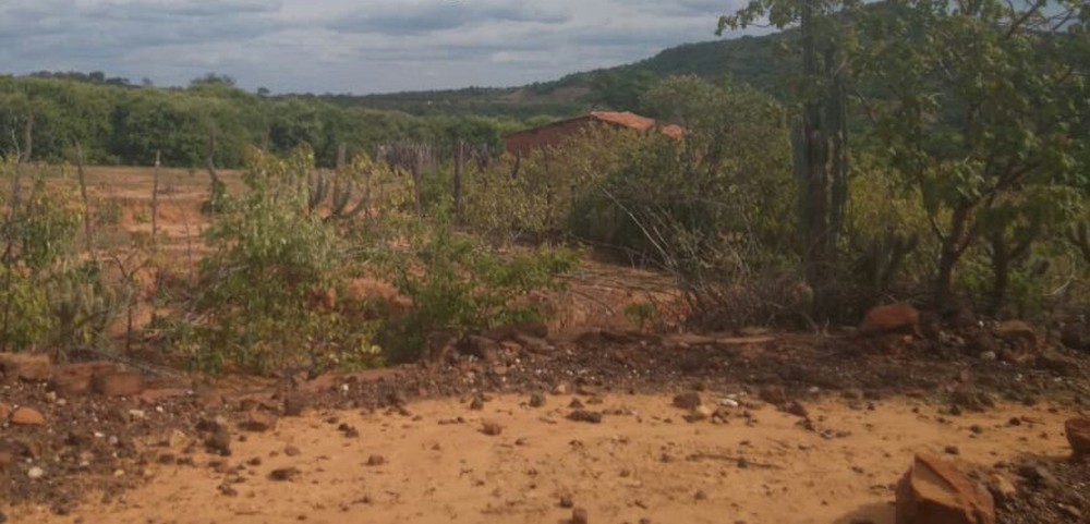 Suspeito estava escondido local de difícil acesso na zona rural de Simplício Mendes, no Sul do Piauí — Foto: Divulgação/PM