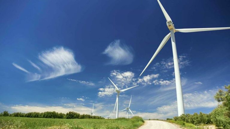 Enel Green Power começa a construir na região de Picos o maior parque eólico do país