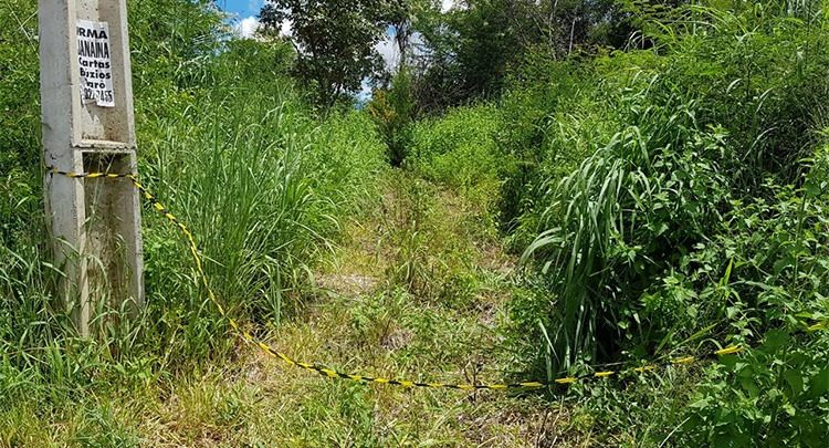 Dois corpos foram encontrados amarrados em área de matagal, próximo à Avenida Josué de Moura Santos, na Santa Maria da Codip