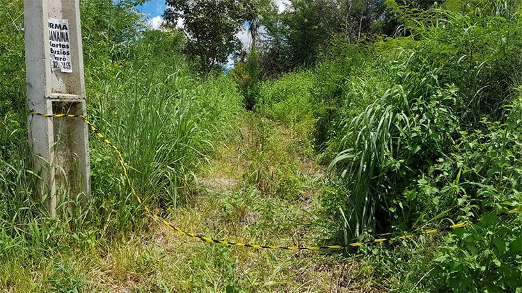 Dois corpos foram encontrados amarrados em área de matagal, próximo à Avenida Josué de Moura Santos, na Santa Maria da Codip