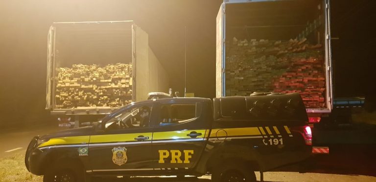 Em Picos, PRF apreende madeira sem licença ambiental na rodovia BR-316