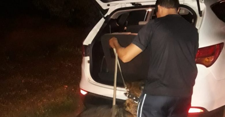 Polícia encontra 2,4 Kg de cocaína escondida em banco de carro vindo de São Paulo para Picos — Foto: Divulgação/PM