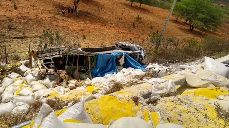 Motorista fica preso às ferragens após caminhão capotar na BR-316 entre Marcolândia e Araripina