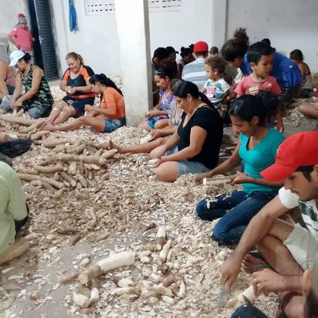 Mulheres raspando a mandioca. É tempo de farinhada