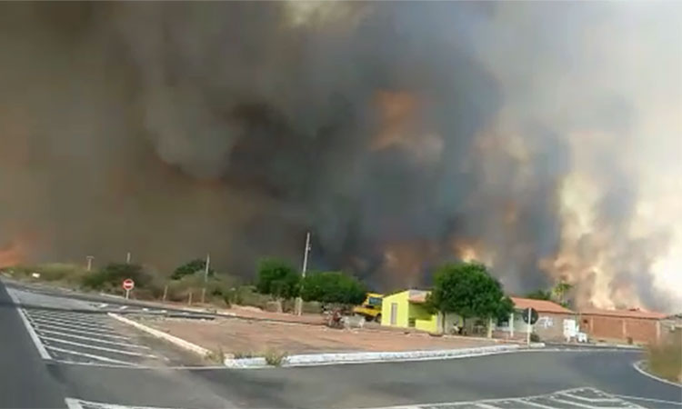 Foto: Reprodução Vídeo