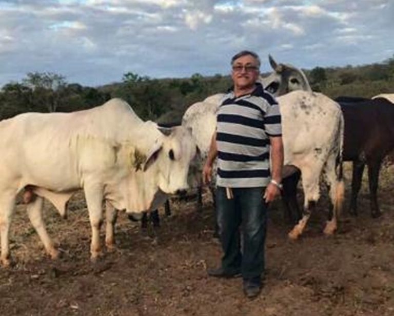 Acidente com animal mata comerciante de Simplício Mendes