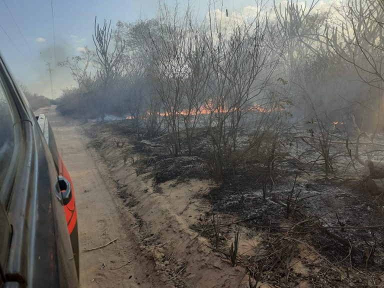 Incêndio ambiental ameaça atingir casas em Pio IX