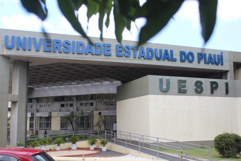 UESPI abre processo seletivo para professores substitutos