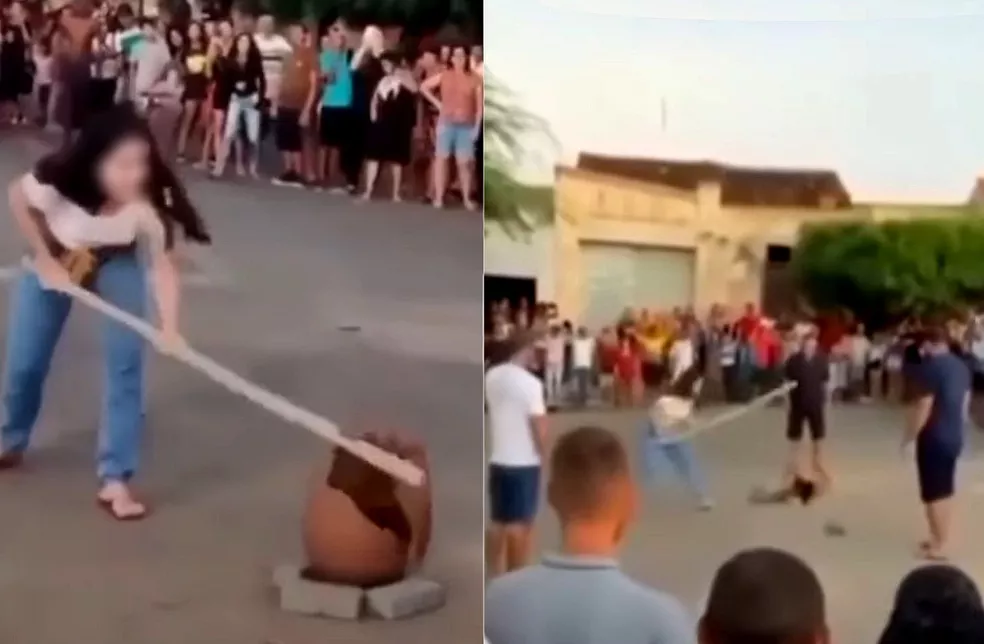 Caldeirão Grande: Polícia investiga maus-tratos e agressões a gatos em evento do ‘quebra pote’