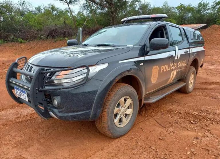 Polícia Civil de Inhuma prende em Picos suspeito de realizar furtos na região