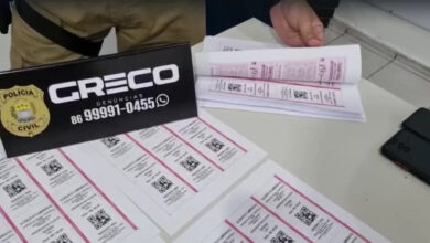 Ingressos falsificados apreendidos pela Polícia Civil do Piauí — Foto: Divulgação