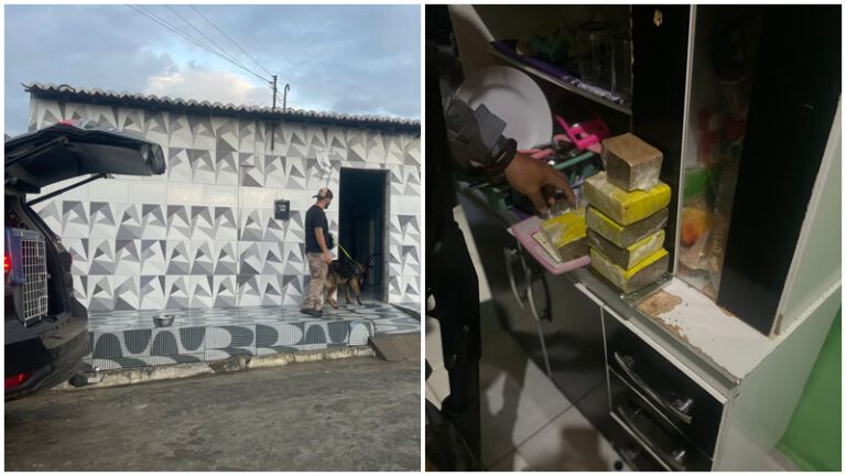 Operação da Polícia Civil de Picos apreende drogas em Monsenhor Hipólito