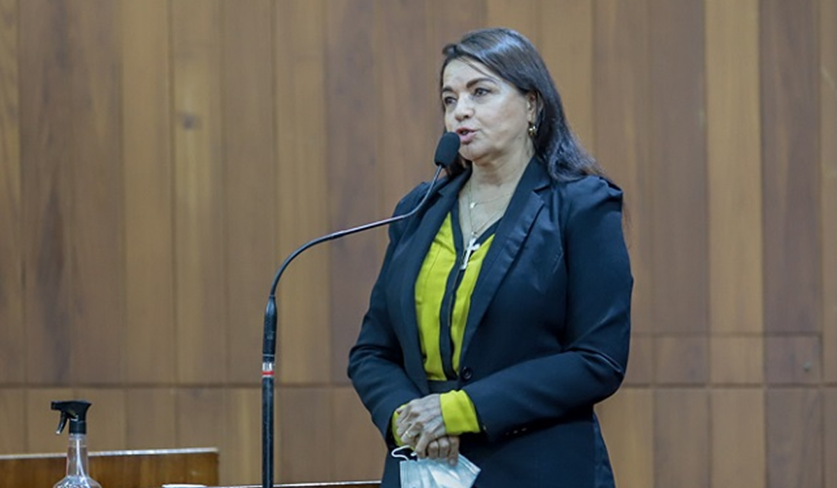 Teresa Britto apresenta relatório da visita ao Hospital Justino Luz em Picos