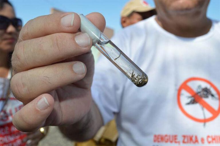 Casos de Chikungunya sobem mais de 5000% no Piauí