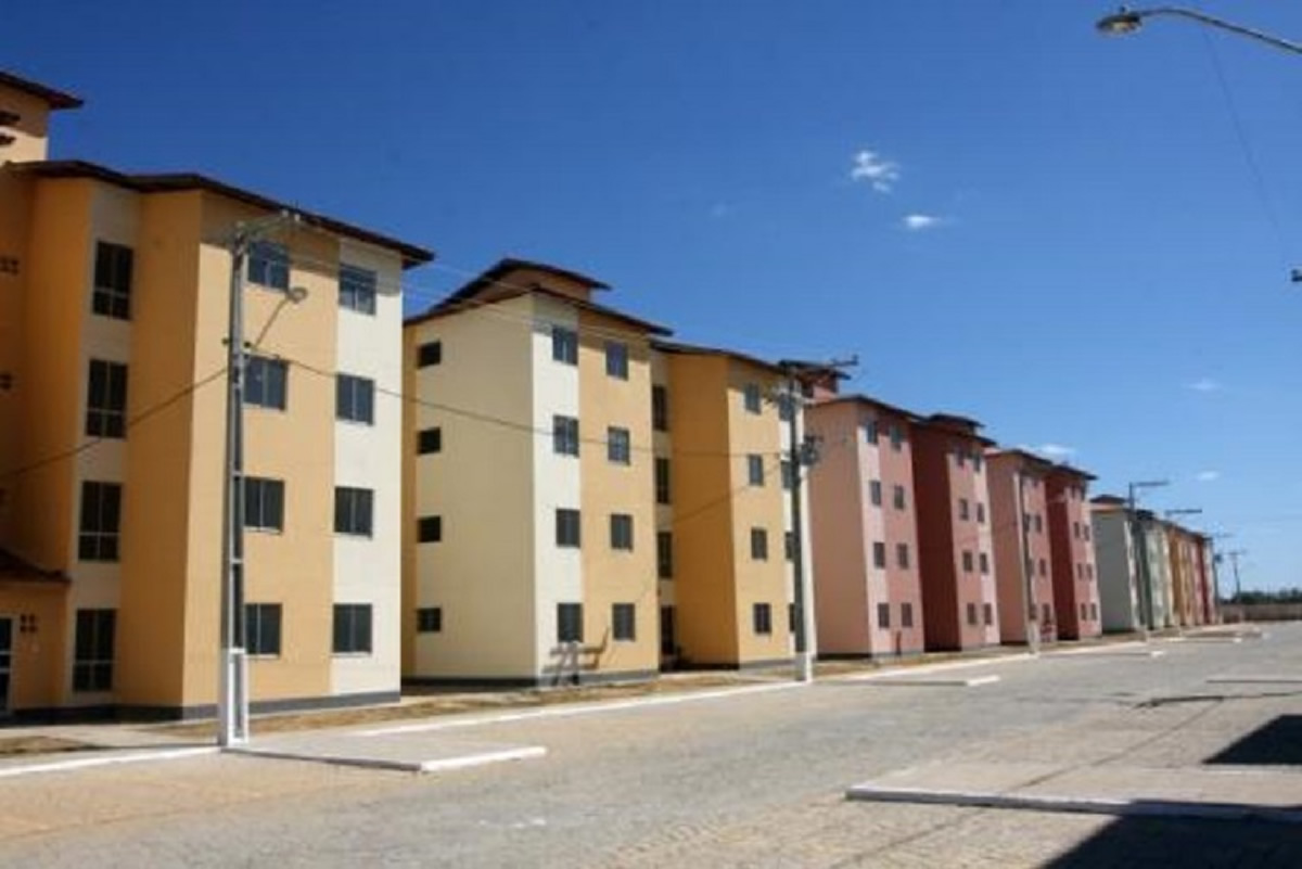 Picos: Moradores reclamam de infestação de carrapatos no Residencial Antonieta Araújo