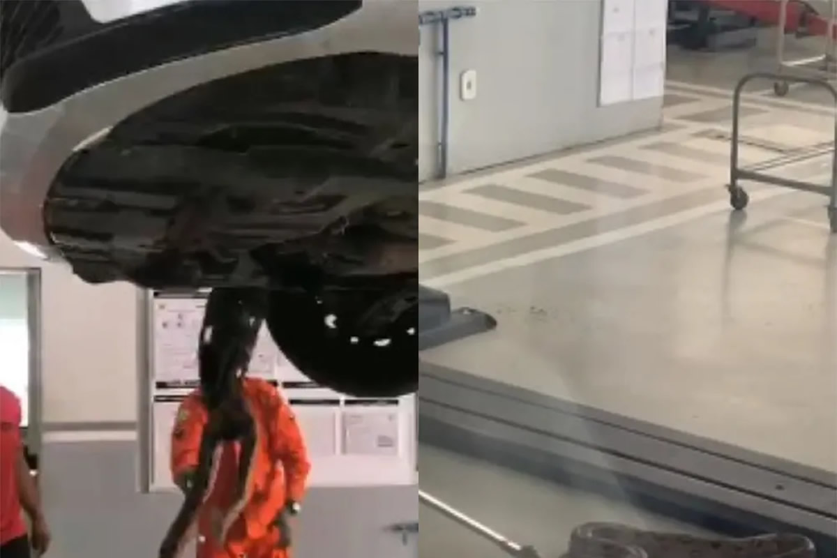 Bombeiros resgatam jiboia de motor de carro em Picos