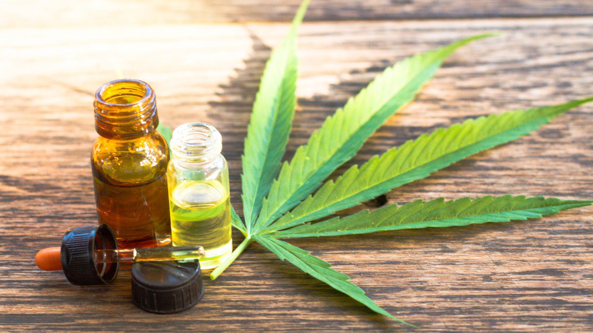 Justiça autoriza paciente de Campo Grande do Piauí a plantar maconha para tratamento médico