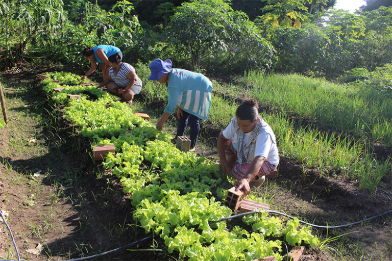 Lei garante desconto de até 90% na conta de energia de produtor rural no Piauí