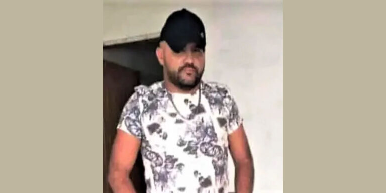 Ataque de abelhas causa morte de homem alérgico em Pio IX