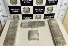 Polícia apreende 3 kg de maconha em ônibus interestadual e prende suspeito em flagrante - Foto: Divulgação/DHTL