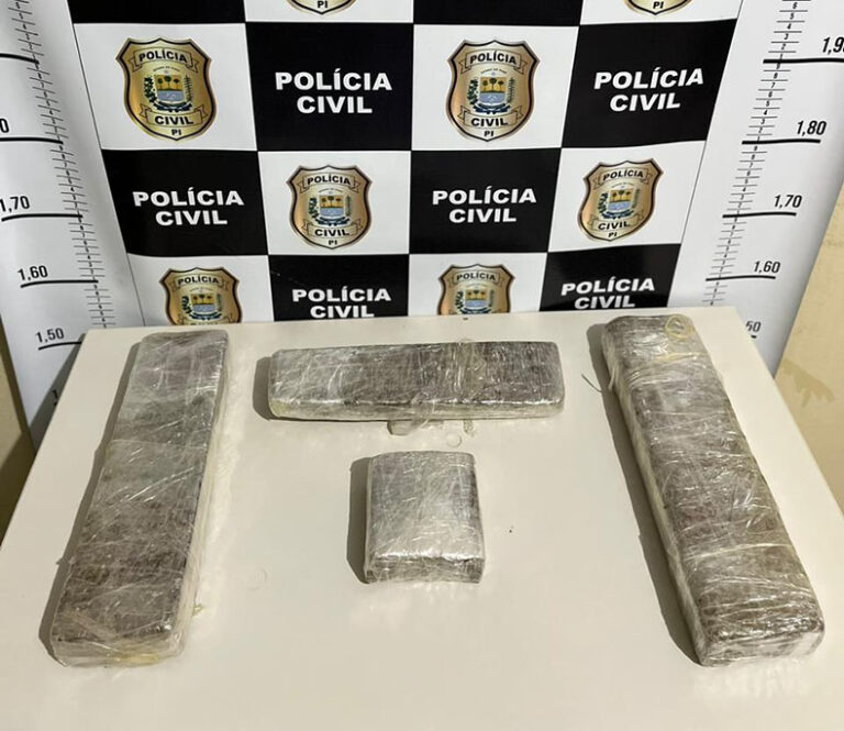 Polícia de Picos apreende droga avaliada em R$ 12 mil e prende suspeito de transporte