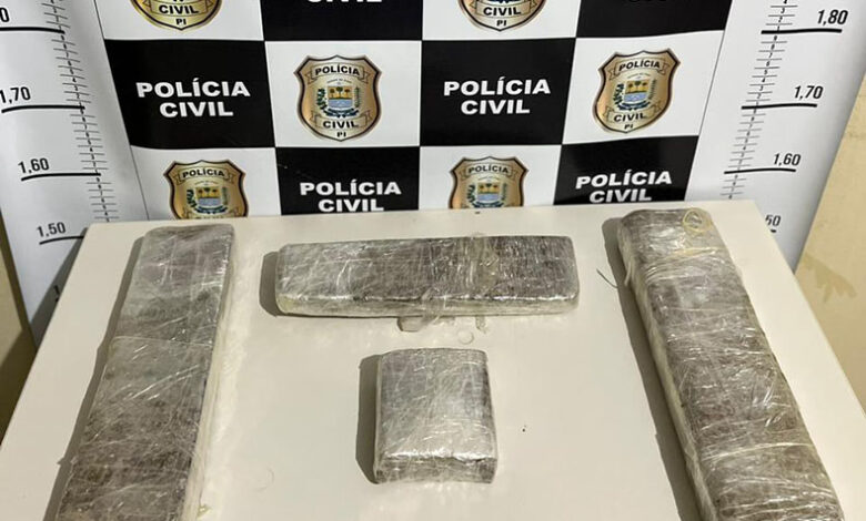 Polícia apreende 3 kg de maconha em ônibus interestadual e prende suspeito em flagrante - Foto: Divulgação/DHTL