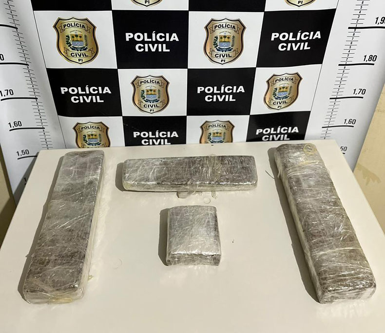 Polícia apreende 3 kg de maconha em ônibus interestadual e prende suspeito em flagrante - Foto: Divulgação/DHTL