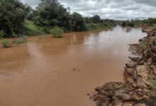 Rio Guaribas em Picos - Foto: Romário Mendes/Riachaonet