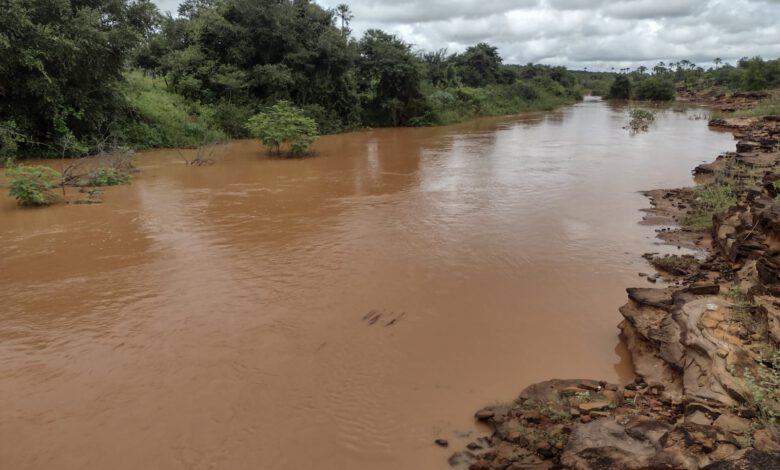 Rio Guaribas em Picos - Foto: Romário Mendes/Riachaonet