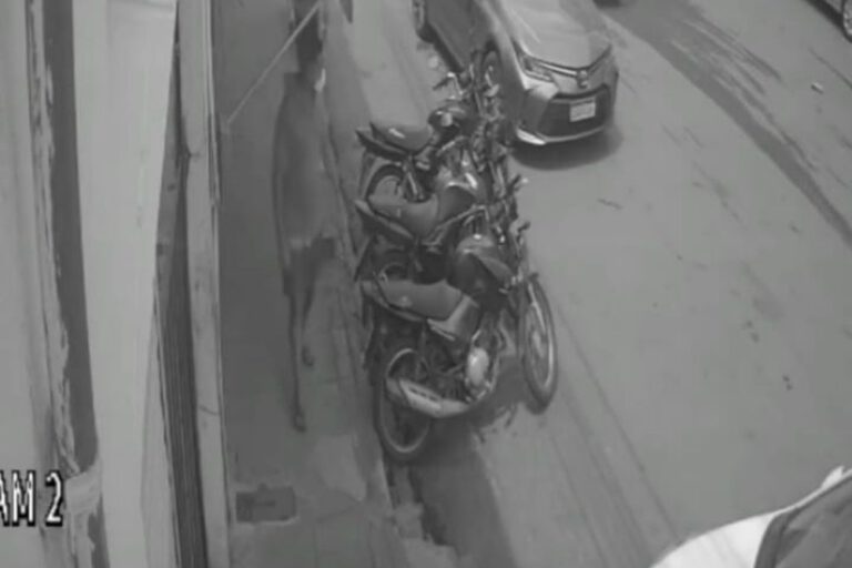Câmera flagra momento que motocicleta é furtada no centro de Picos