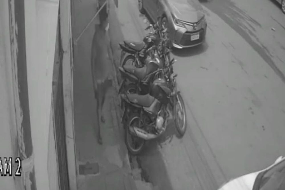 Imagem do suspeito capturada por câmeras de monitoramento no momento do furto da motocicleta em Picos.