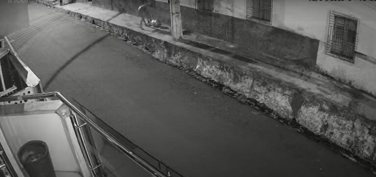 Câmeras registram furto em residência na Avenida Getúlio Varga em Picos