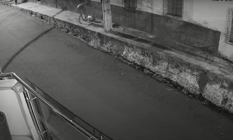 Câmeras flagram homem saindo de uma residência localizada na avenida Getúlio Vargas legado objetos furtados