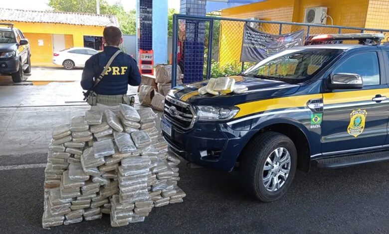 PRF intercepta caminhão na BR-343, em Piripiri, com uma carga ilegal de 233 kg de maconha e 5 kg de cocaína escondidos — Foto: Divulgação/PRF