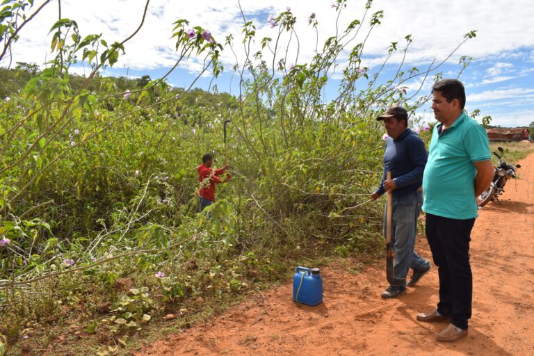 Prefeitura de Picos realiza serviço de roço em comunidade rural