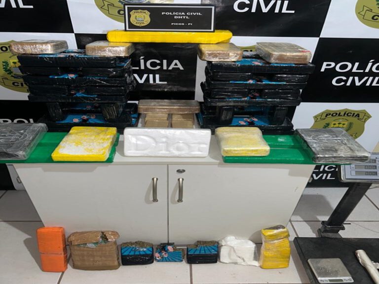 Picos: Operação da Polícia Civil apreende droga avaliada em mais de meio bilhão de reais