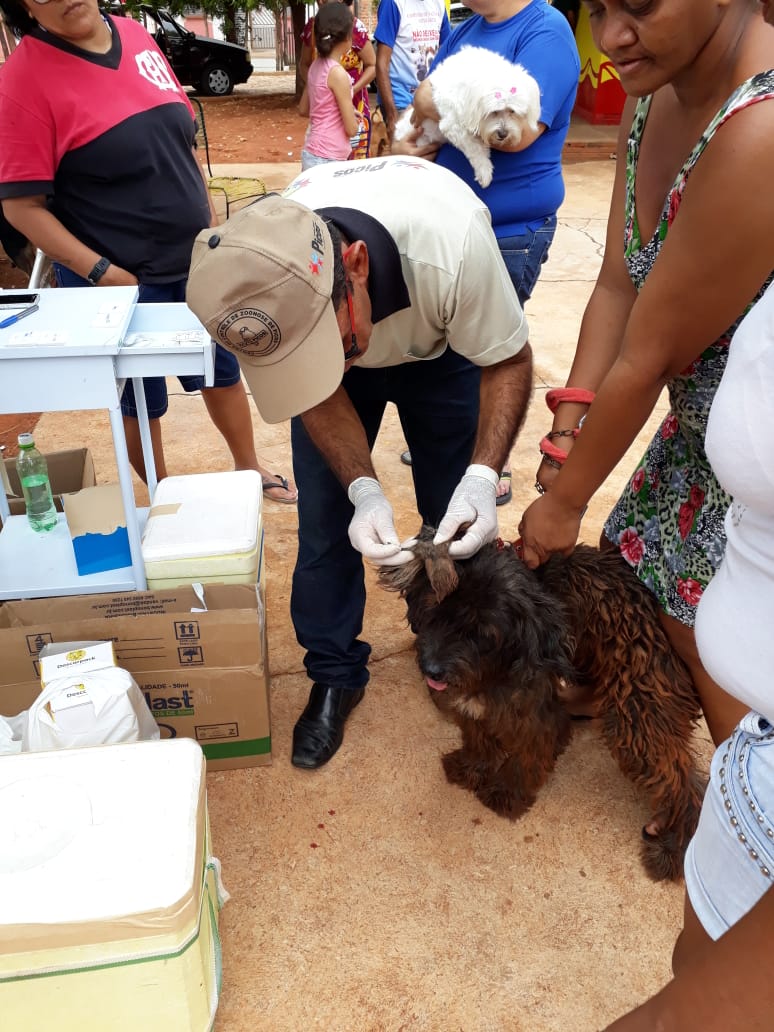 Secretaria de Saúde realiza nesse sábado (16) Campanha de Vacinação Antirrábica Animal; confira os locais de votação