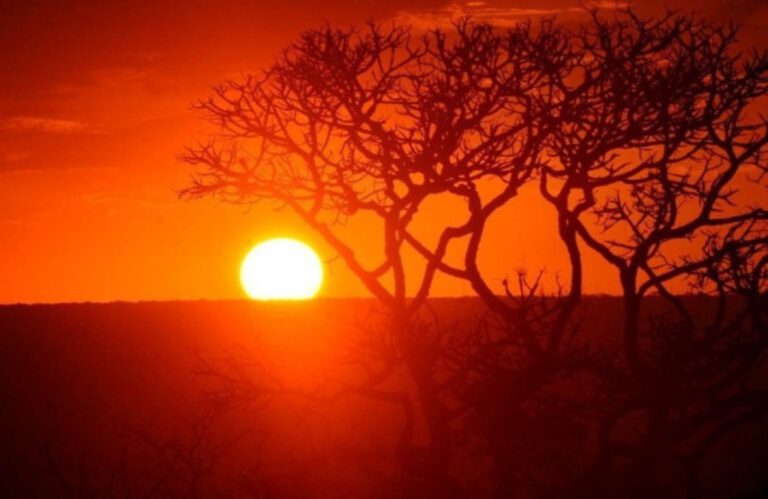 Cidades do Piauí enfrentam onda de calor extremo com temperaturas acima de 40ºC