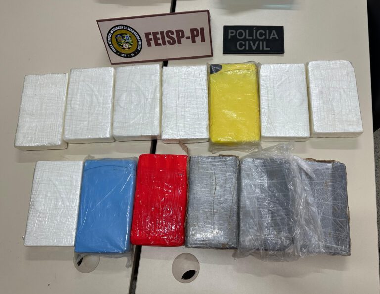 Polícia Civil de Picos prende caminhoneiro com 13 Kg de cocaína