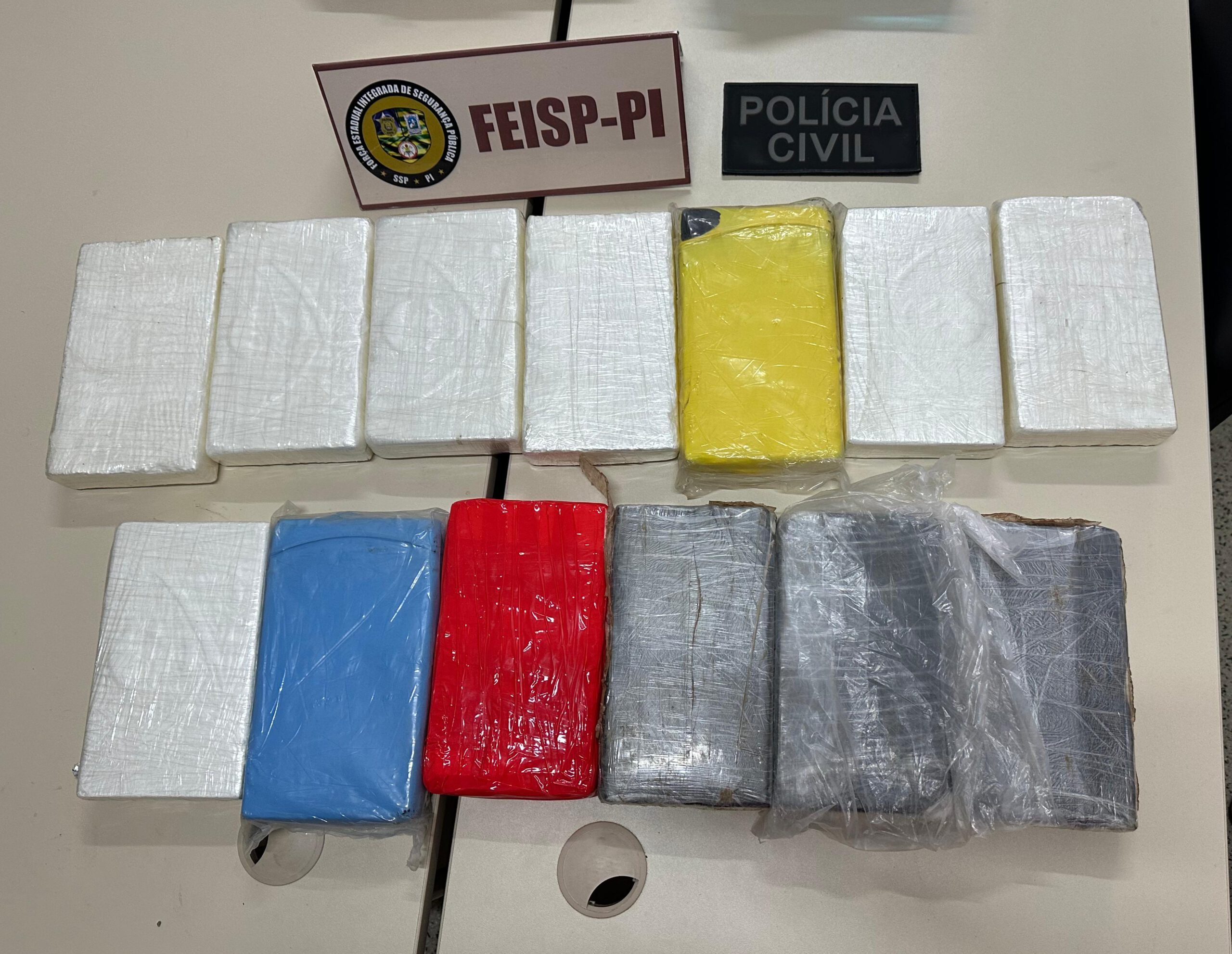 Polícia Civil de Picos prende caminhoneiro com 13 Kg de cocaína