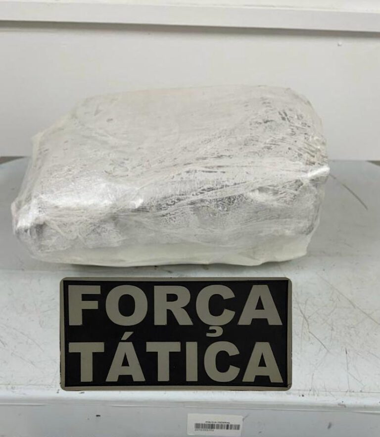 Operação da PM apreende grande quantidade de drogas e prende casal em Pimenteiras