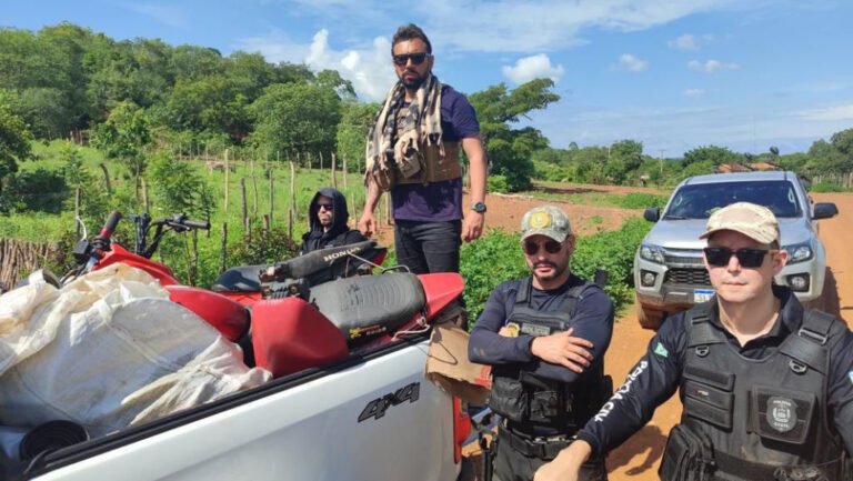25 veículos com restrição de roubo e furto são apreendidos durante operação na região de Picos