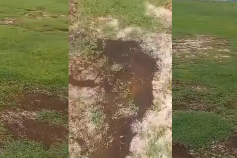 Gramado do estádio Helvídio Nunes preocupa SEP para o Campeonato Piauiense