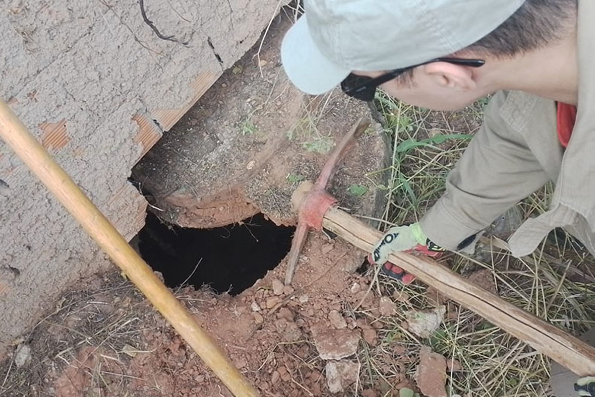 Resgates de cobras em Picos aumentam com chegada das chuvas, informa 4º GBM