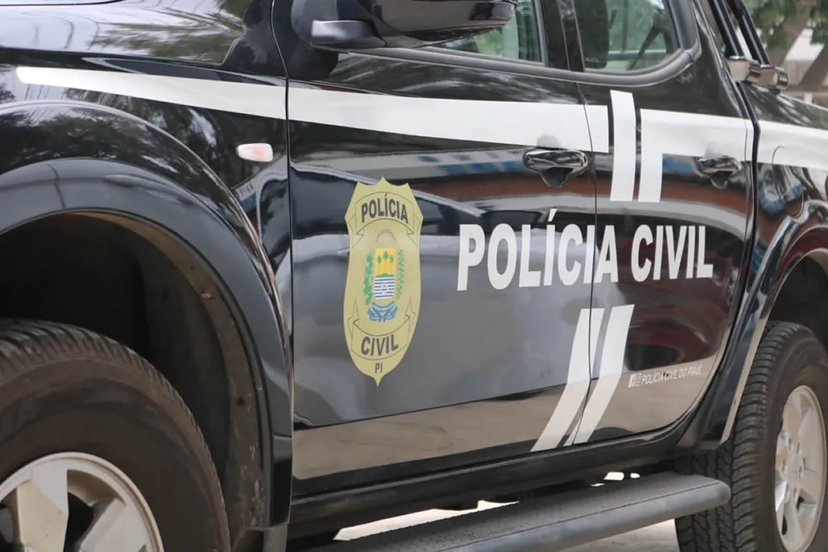 Polícia Civil faz prisões por furtos e homicídio em Oeiras