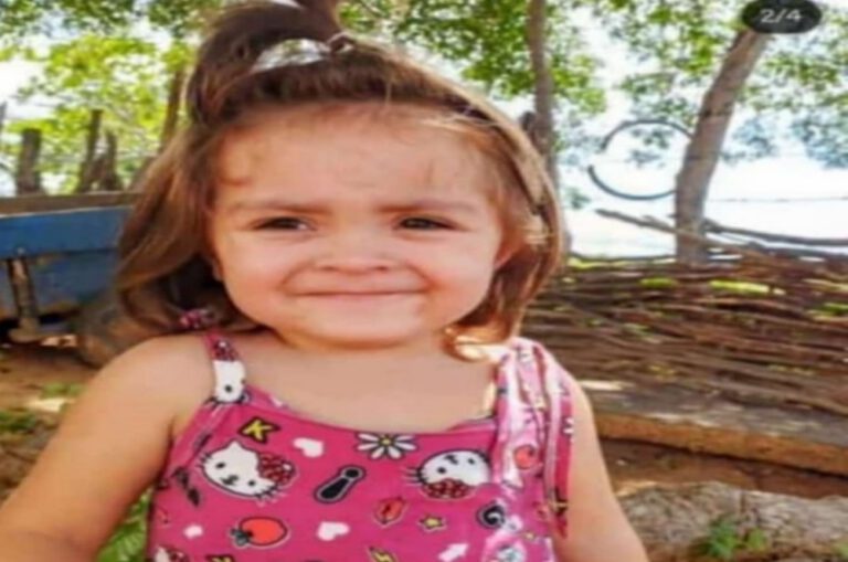 Em Simões, bebê morre afogada ao cair em barreiro no quintal de casa