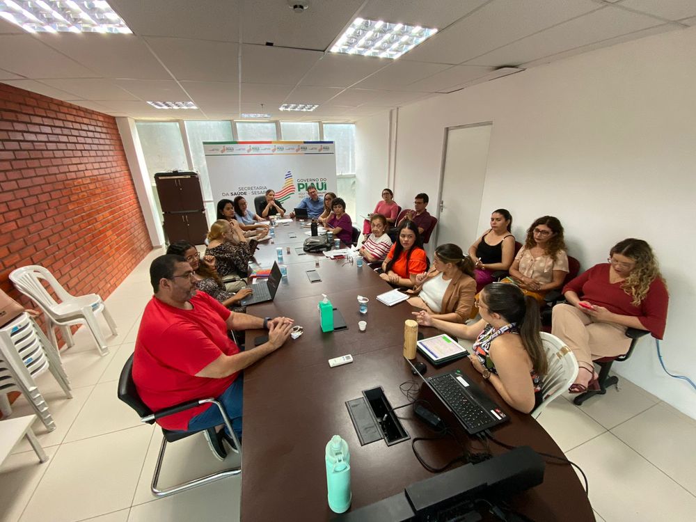 Sesapi mobiliza municípios para aumentar índices das coberturas vacinais